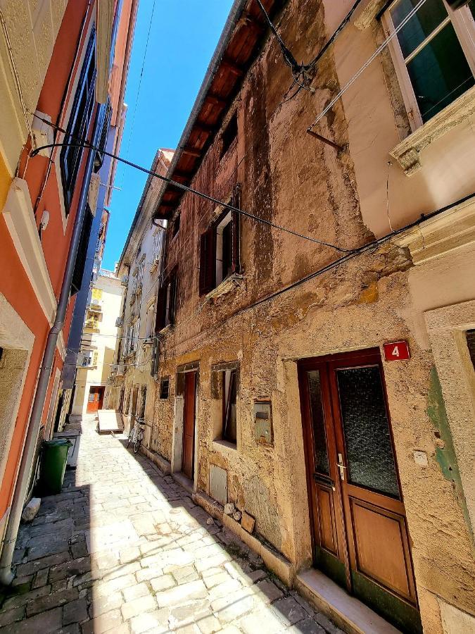 Hisa Delfinov - Old Dolphin House Appartamento *