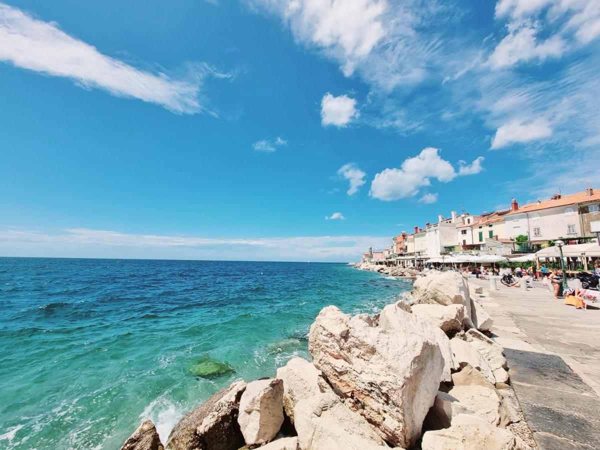 Apartment Hisa Delfinov - Old Dolphin House