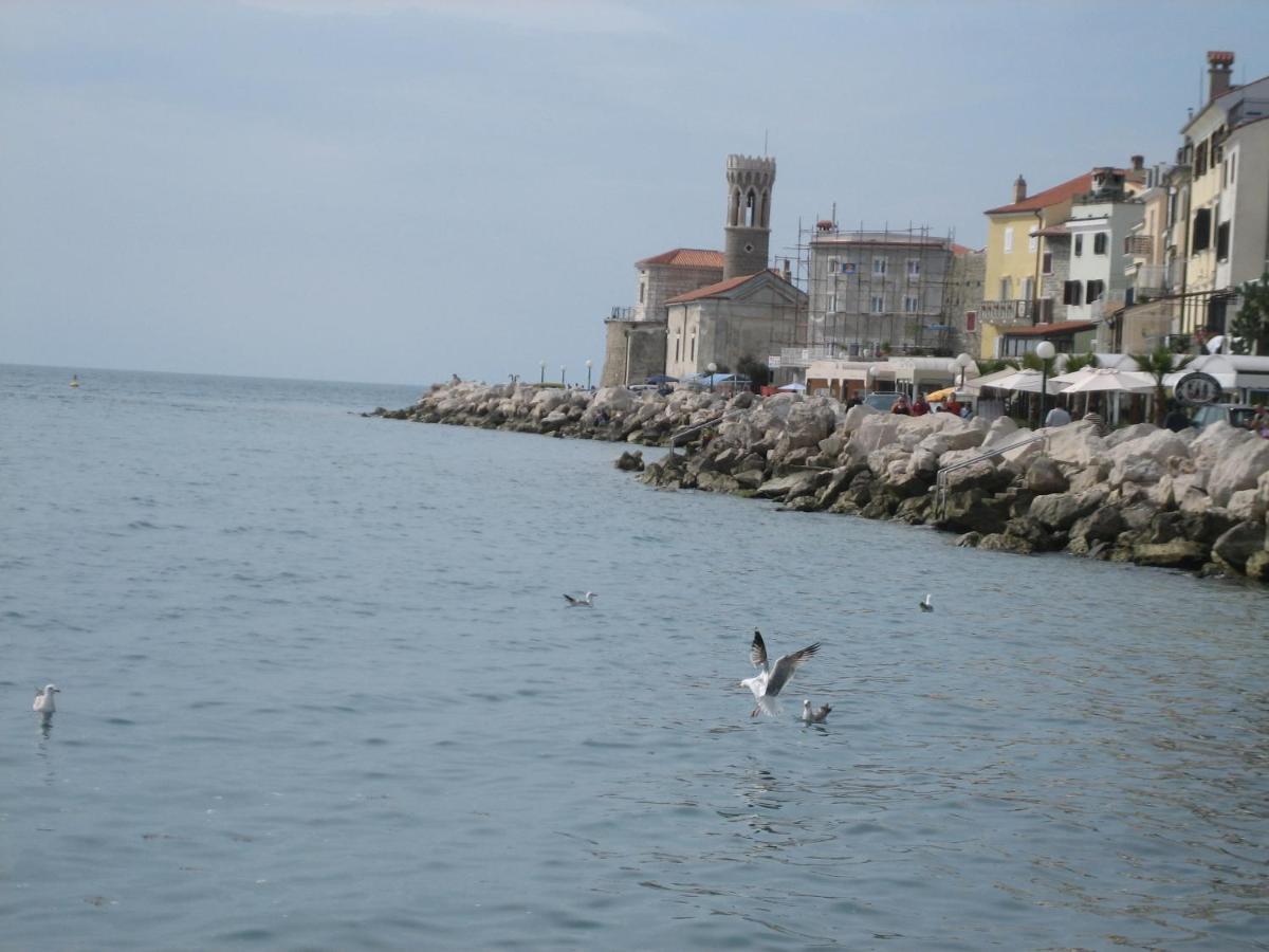Hisa Delfinov - Old Dolphin House Appartamento